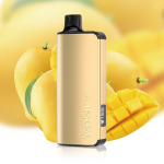 noosa tobacconist - Professional Guide and Review